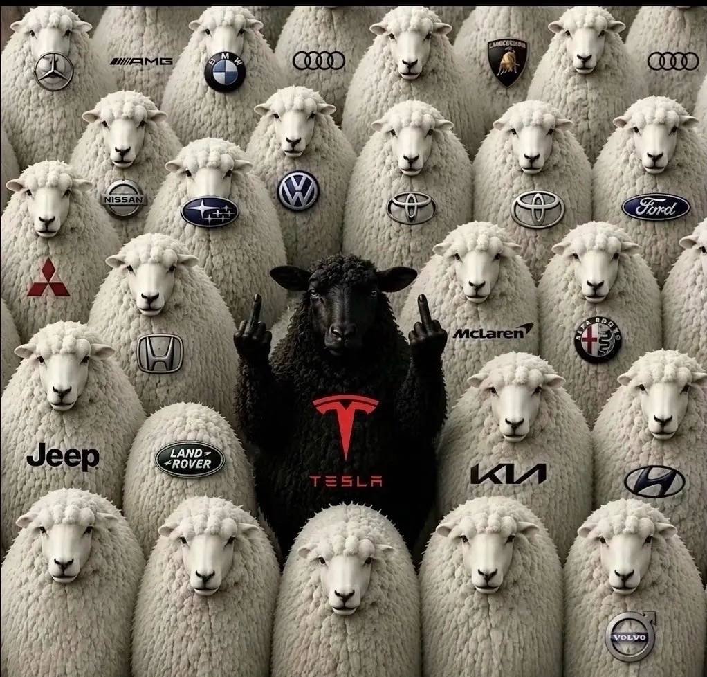 Probably the best use of Ai that I've ever seen. Found this on Tik Tok.…