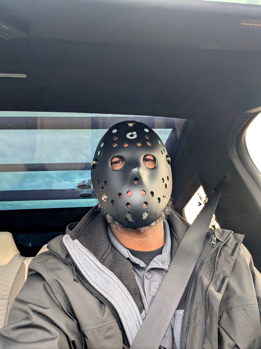 Good news! Jason Vorhees could own a Tesla and FSD wouldn't require him to remove…